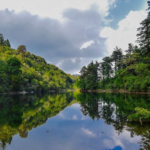 Khaptad National Park Trek with Apex Asia Holidays- Western Nepal